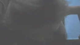 cachorrinha