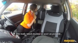 Passing the Driving Test in Fake Driving School