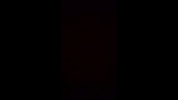 Thumb 7