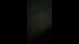 Thumb 12