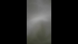 Thumb 14
