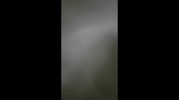 Thumb 6