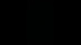 Thumb 6