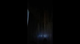 Thumb 6