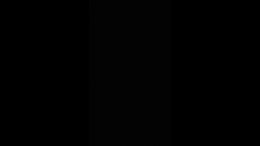 Thumb 13