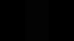 Thumb 9