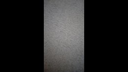 Thumb 15