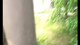 Thumb 11