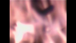 Thumb 8