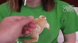 Thumb 6