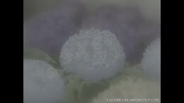 Teen anime babe bounces on hard cock